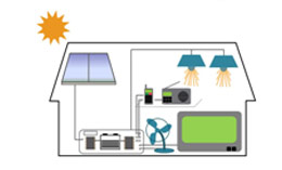 solar-home-system